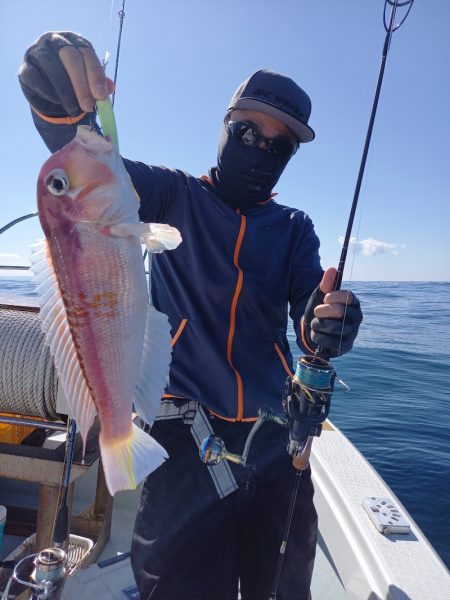 アマテラス 釣果