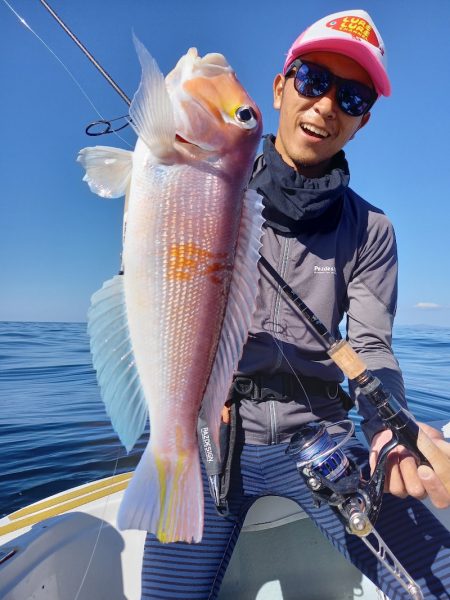 アマテラス 釣果