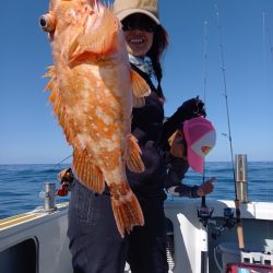 アマテラス 釣果