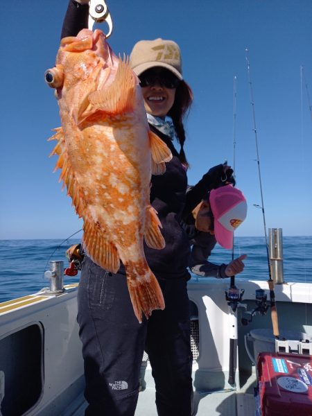 アマテラス 釣果