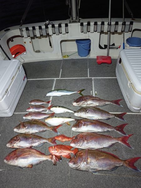 ARCADIAⅡ (アルカディアⅡ) 釣果