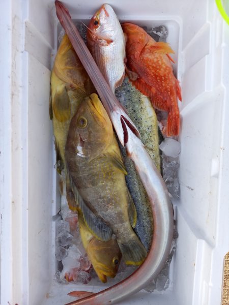 第二龍勢丸 釣果