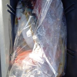 第二龍勢丸 釣果