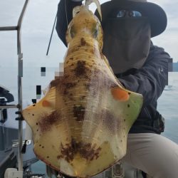 ソルトウォーターガイドフレンズ 釣果