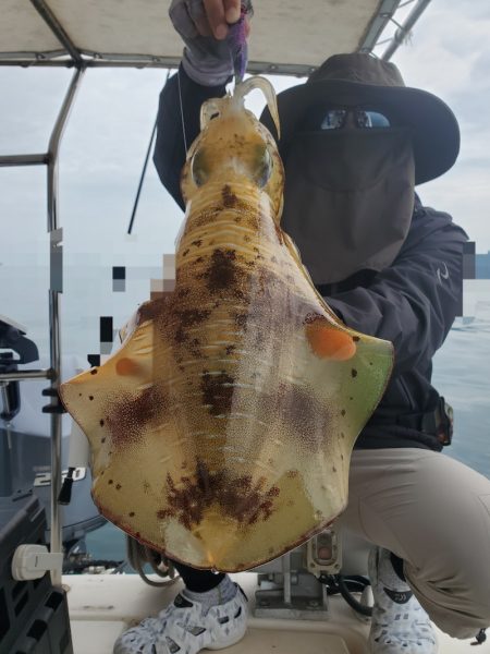 ソルトウォーターガイドフレンズ 釣果