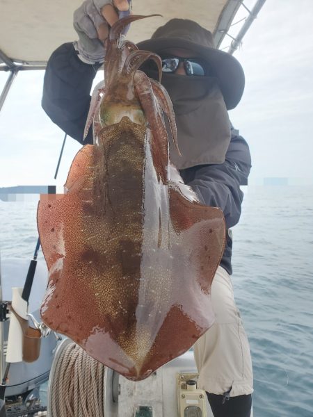 ソルトウォーターガイドフレンズ 釣果