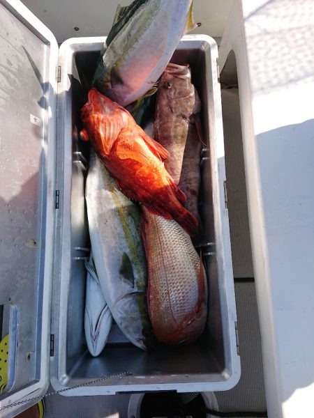 エンペラー 釣果