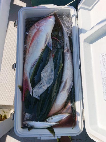 エンペラー 釣果