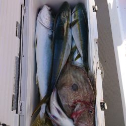 エンペラー 釣果