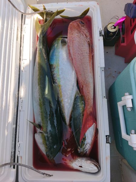 エンペラー 釣果