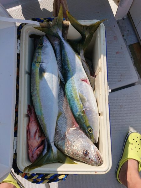 エンペラー 釣果