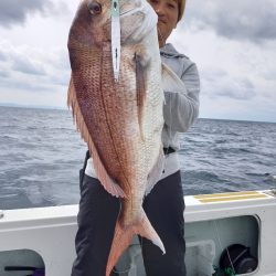 アマテラス 釣果