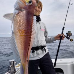 アマテラス 釣果