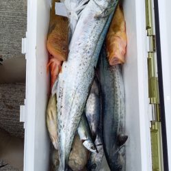 第二龍勢丸 釣果