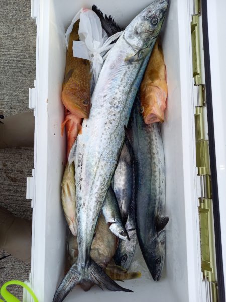 第二龍勢丸 釣果