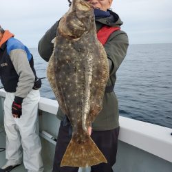 シーライオン 釣果