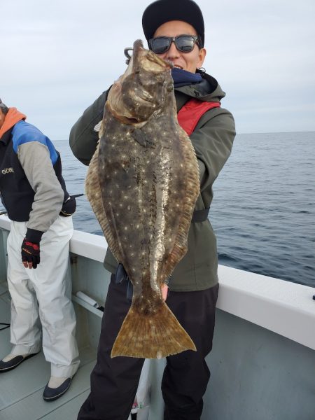 シーライオン 釣果