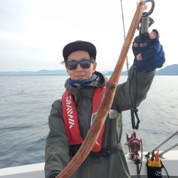 シーライオン 釣果