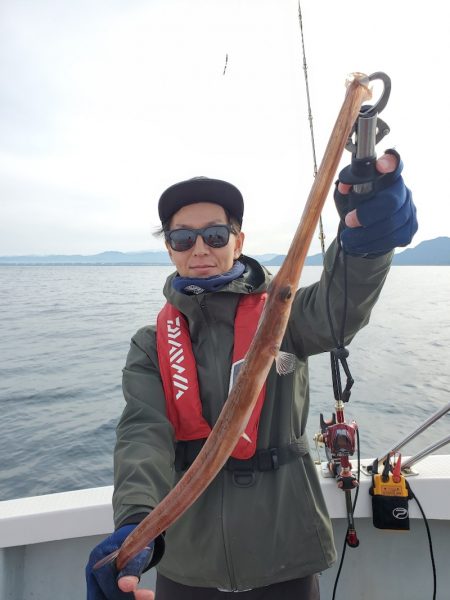 シーライオン 釣果