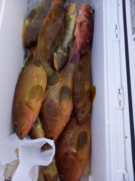 第二龍勢丸 釣果