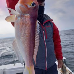 アマテラス 釣果