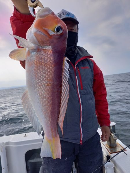 アマテラス 釣果