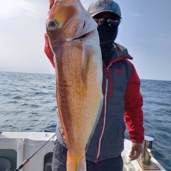 アマテラス 釣果