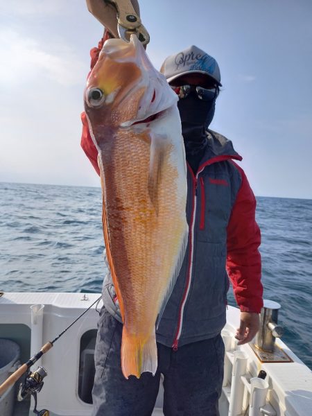 アマテラス 釣果