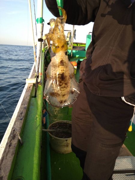 小島丸 釣果