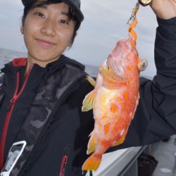 渡船屋たにぐち 釣果