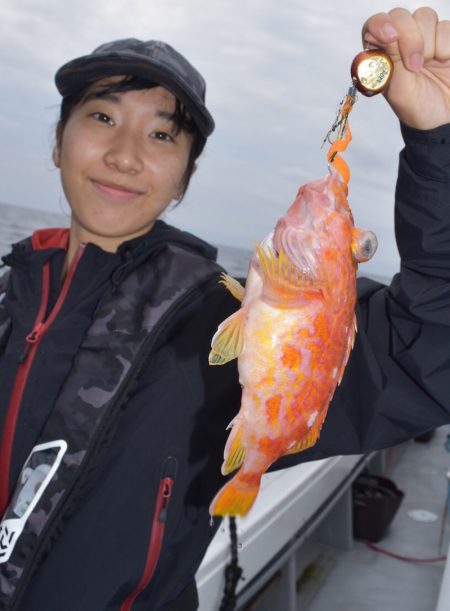 渡船屋たにぐち 釣果