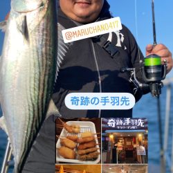 龍神丸(鹿児島) 釣果