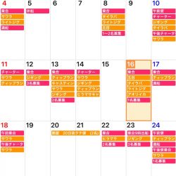 「LaGooN」蒼陽丸 日和号　 釣果