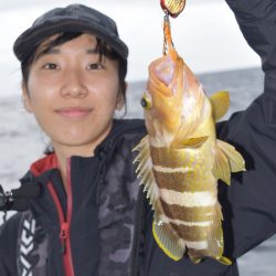 渡船屋たにぐち 釣果