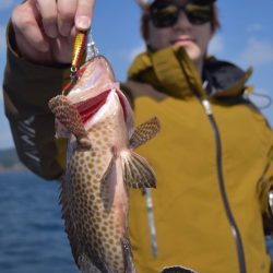 渡船屋たにぐち 釣果
