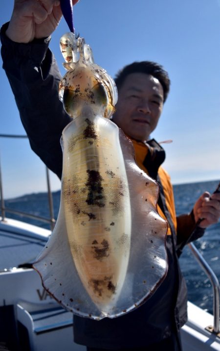 渡船屋たにぐち 釣果