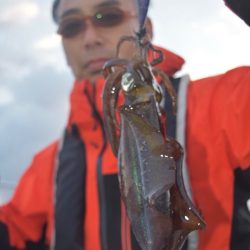 渡船屋たにぐち 釣果