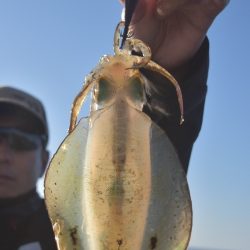 渡船屋たにぐち 釣果