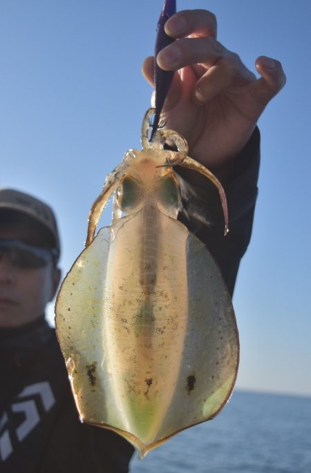 渡船屋たにぐち 釣果