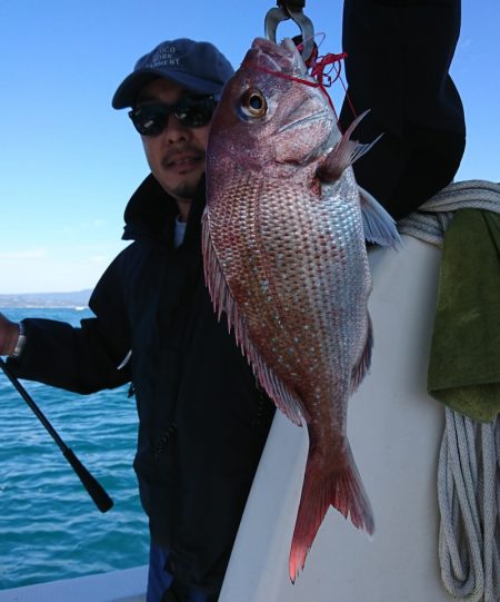 遊漁船 家入 釣果