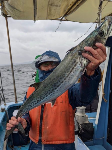 ヤザワ渡船 釣果