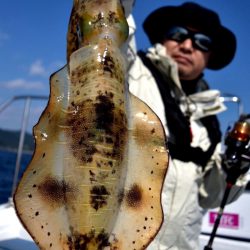 渡船屋たにぐち 釣果