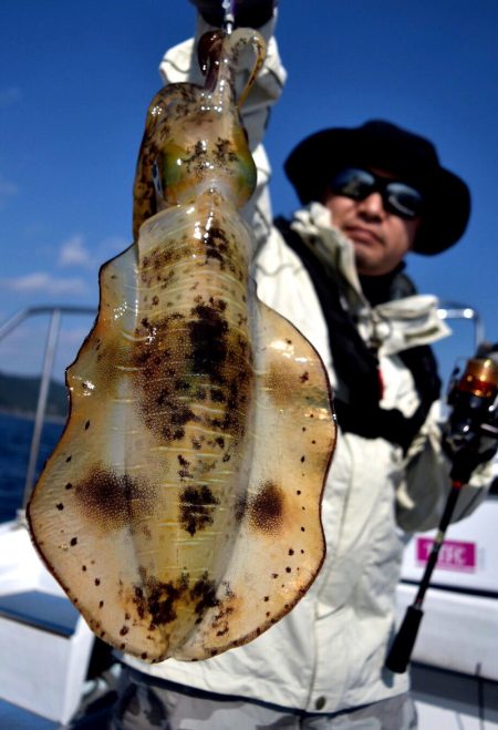 渡船屋たにぐち 釣果