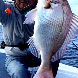 渡船屋たにぐち 釣果