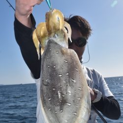 渡船屋たにぐち 釣果