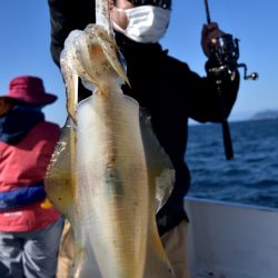 渡船屋たにぐち 釣果