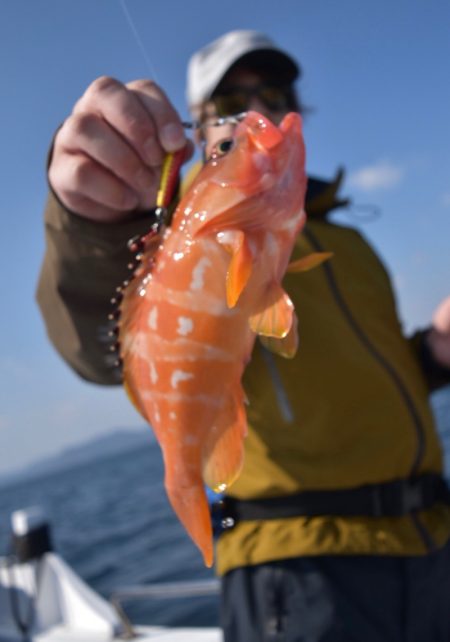 渡船屋たにぐち 釣果
