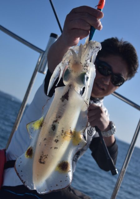 渡船屋たにぐち 釣果