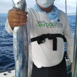 岡田釣船 八英丸 釣果