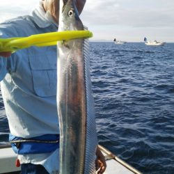 岡田釣船 八英丸 釣果